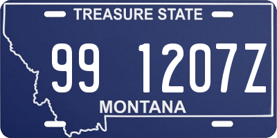 MT license plate 991207Z