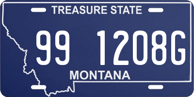 MT license plate 991208G