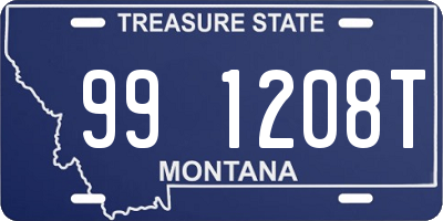 MT license plate 991208T