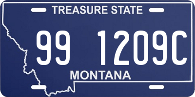 MT license plate 991209C