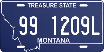 MT license plate 991209L