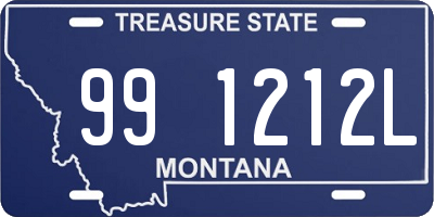 MT license plate 991212L