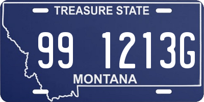 MT license plate 991213G