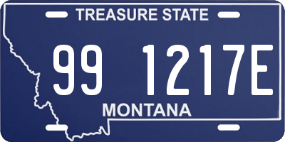 MT license plate 991217E