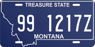 MT license plate 991217Z