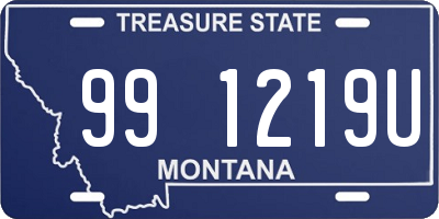 MT license plate 991219U