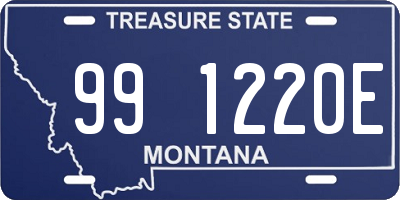 MT license plate 991220E