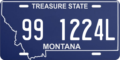 MT license plate 991224L