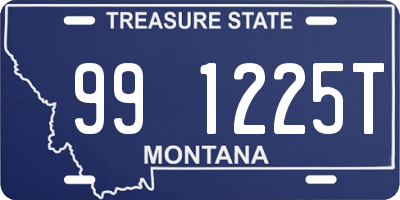 MT license plate 991225T