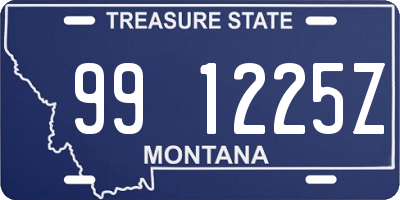 MT license plate 991225Z