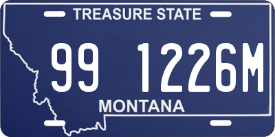 MT license plate 991226M