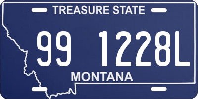 MT license plate 991228L