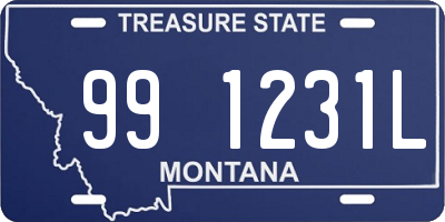 MT license plate 991231L