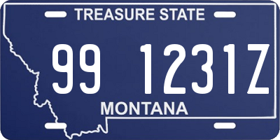 MT license plate 991231Z