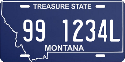 MT license plate 991234L