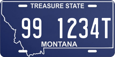 MT license plate 991234T