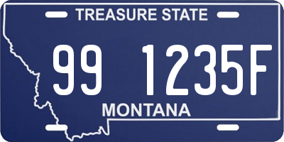 MT license plate 991235F