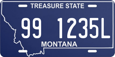 MT license plate 991235L