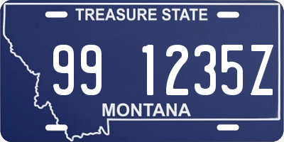 MT license plate 991235Z