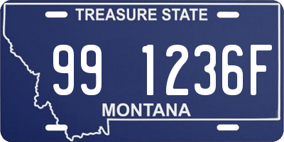 MT license plate 991236F