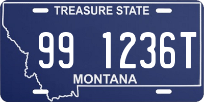 MT license plate 991236T