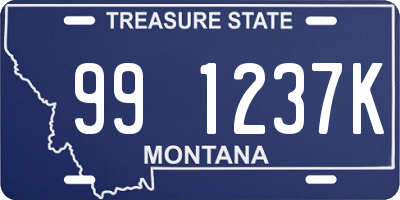 MT license plate 991237K