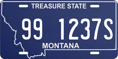 MT license plate 991237S