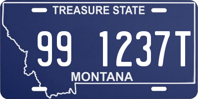 MT license plate 991237T