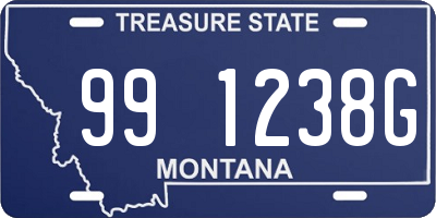 MT license plate 991238G