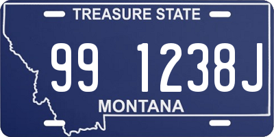 MT license plate 991238J