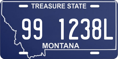 MT license plate 991238L