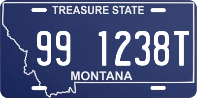 MT license plate 991238T