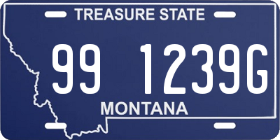 MT license plate 991239G