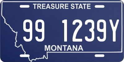 MT license plate 991239Y