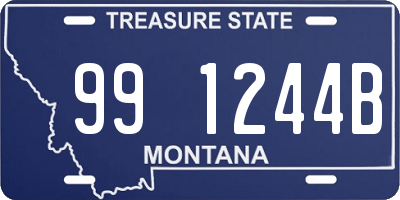 MT license plate 991244B