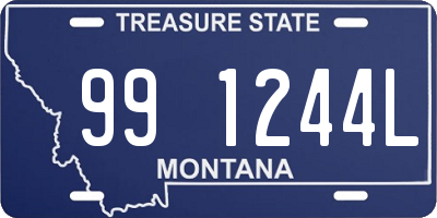 MT license plate 991244L