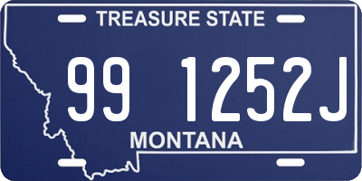 MT license plate 991252J