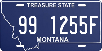 MT license plate 991255F