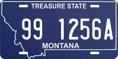 MT license plate 991256A