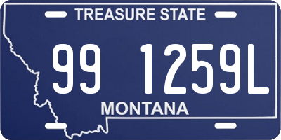 MT license plate 991259L