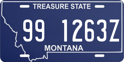 MT license plate 991263Z