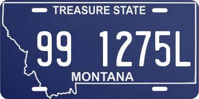 MT license plate 991275L