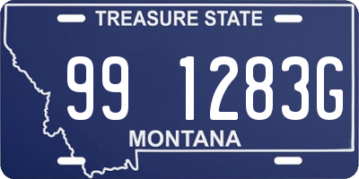 MT license plate 991283G