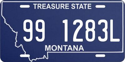 MT license plate 991283L