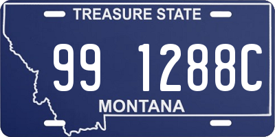 MT license plate 991288C