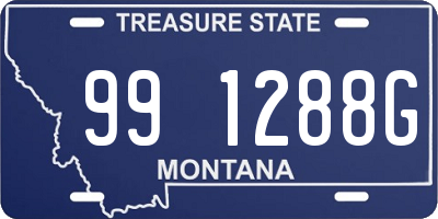 MT license plate 991288G