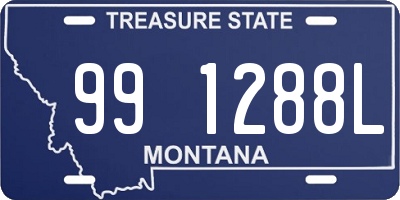 MT license plate 991288L