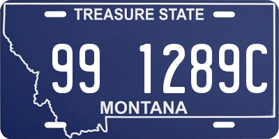 MT license plate 991289C