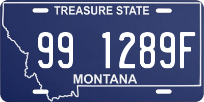 MT license plate 991289F