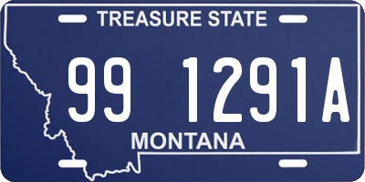 MT license plate 991291A